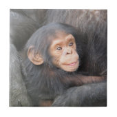 Carreau Chimpanzé de bébé (Devant)