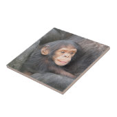 Carreau Chimpanzé de bébé (Côté)