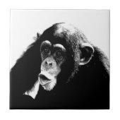 Carreau Chimpanzé noir blanc (Devant)