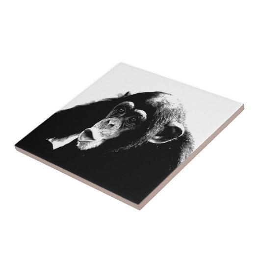 Carreau Chimpanzé noir blanc (Côté)