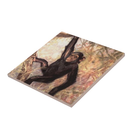 Carreau chimpanzeehangingintree002_original (Côté)