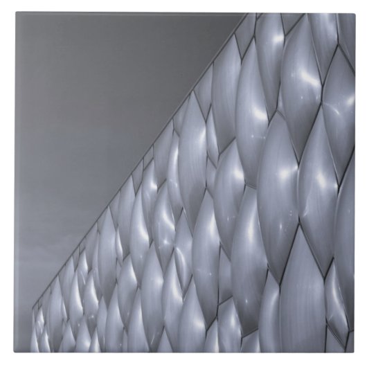 Carreau Chine, Pékin. Centre National Aquatique (Devant)