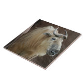 Carreau chinese-takin-5 (Côté)