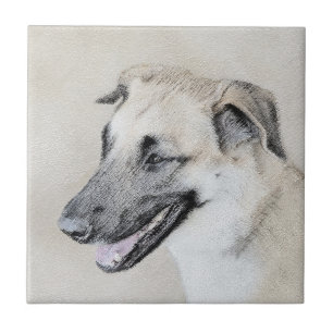 Carreau Chinook (oreilles d'hélicoptère) Peinture - Chien 