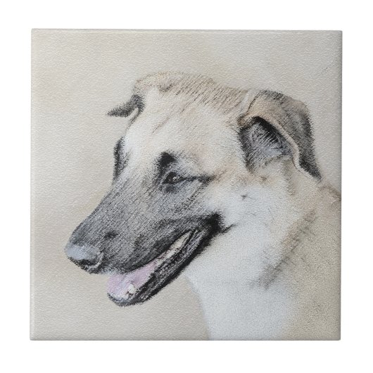 Carreau Chinook (oreilles d'hélicoptère) Peinture - Chien (Devant)