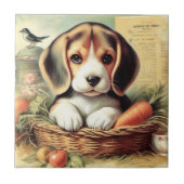 Carreau Chiot Beagle vintage (Devant)