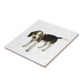 Carreau Chiot de beagle (Côté)