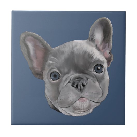 Carreau Chiot de bouledogue français (Devant)