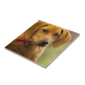 Carreau Chiot de chien de chasse de ragondin de Redbone (Côté)