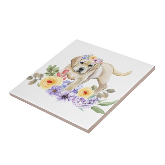 Carreau Chiot de laboratoire jaune (Côté)