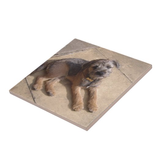 Carreau Chiot de Terrier de frontière (Côté)