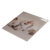 Carreau Chiot et lapin (Côté)