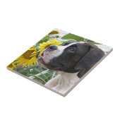 Carreau Chiot et tournesols de boxeur (Côté)