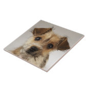 Carreau Chiot (familiaris de Canis) (Côté)