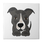 Carreau Chiot gris mignon de Pitbull (Devant)