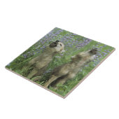Carreau Chiots de loup hurlant dans le pré (Côté)
