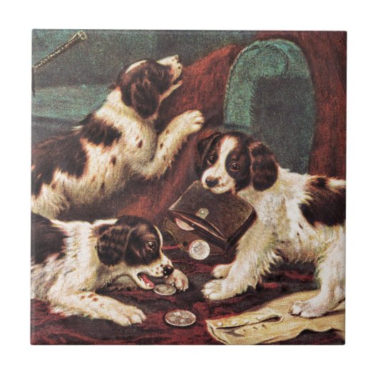 Carreau Chiots de poseur (Devant)