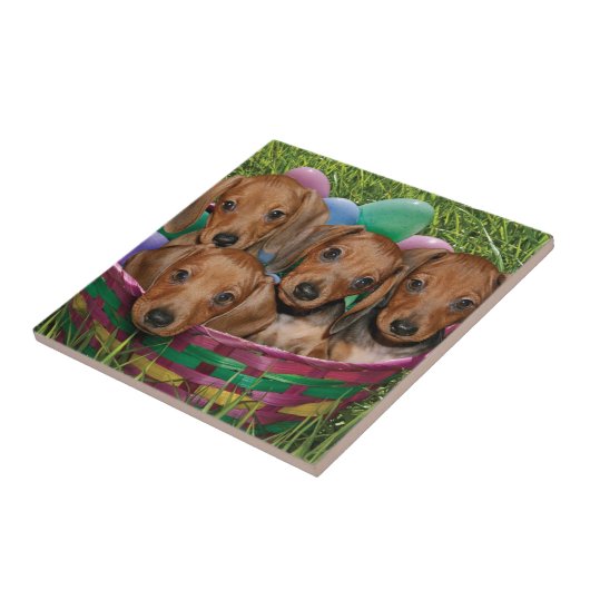 Carreau Chiots de teckel (Côté)