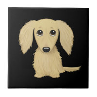 Chiots de teckel à poil long crème