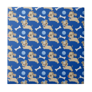 Carreau Chiots Os de Chien Blanc Balle Bleue Amoureux des