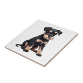 Carreau Chiots Schnauzer Nain (3) (Côté)