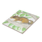 Carreau Chipmunk (Côté)