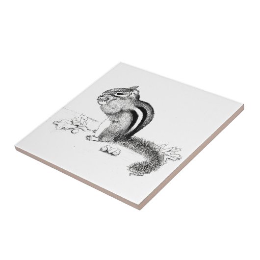 Carreau Chipmunk (Côté)