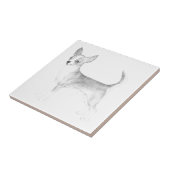 Carreau Chiwawa (Côté)