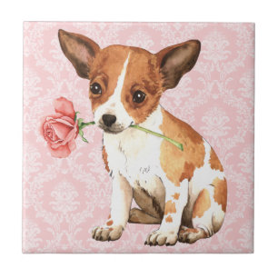 Carreau Chiwawa rose de Valentine