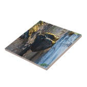 Carreau Chockstones en Maligne Canyon - Alberta, Canada (Côté)