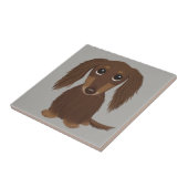 Carreau Chocolat à poil long Brown Dachshund (Côté)
