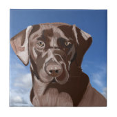 Carreau Chocolat Brown Labrador contre le ciel bleu (Devant)