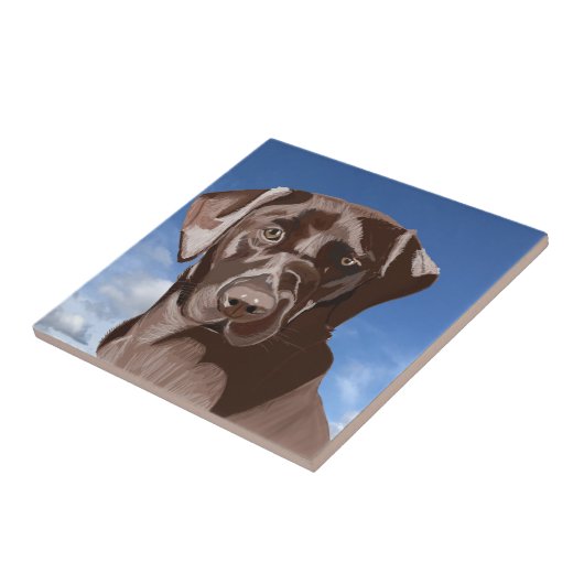 Carreau Chocolat Brown Labrador contre le ciel bleu (Côté)