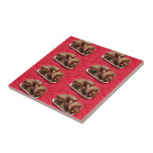 Carreau Chocolat Cherry Marshmallow Fudge Sur Une Plaque (Côté)