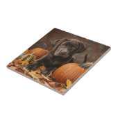 Carreau Chocolat Labrador Retriever Automne (Côté)