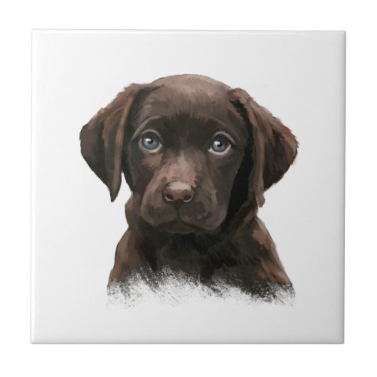 Carreau Chocolat Labrador Retriever Brown (Devant)