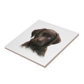 Carreau Chocolat Labrador Retriever Brown (Côté)