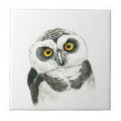 Carreau Chouette (Devant)