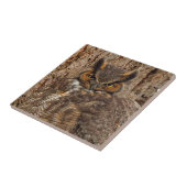 Carreau Chouette à cornes dans le Douglas Fir (Côté)