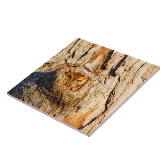 Carreau Chouette à cris de l'Est (Côté)