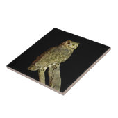 Carreau Chouette à la corne à la nuit (Côté)