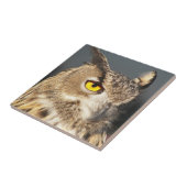 Carreau Chouette d'aigle à cornes Photo (Côté)