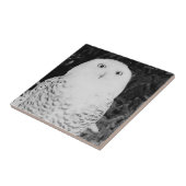 Carreau Chouette Dans La Neige (Côté)