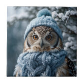 Carreau Chouette de Wonderland (Devant)