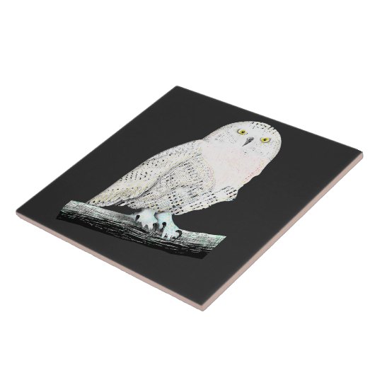 Carreau Chouette des neiges (Côté)