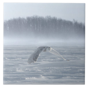 Carreau Chouette Neige Volant En Hiver