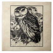 Carreau Chouettes (Devant)