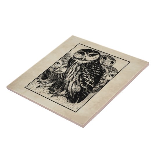 Carreau Chouettes (Côté)