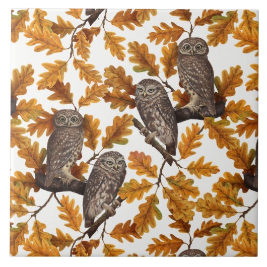 Carreau Chouettes d'automne sur coton blanc (Devant)