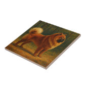 Carreau Chow Chow (Côté)